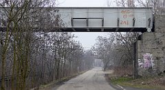 383_TZ60_P1080989_cr