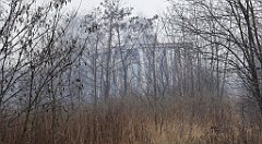 411_TZ60_P1090013_cr