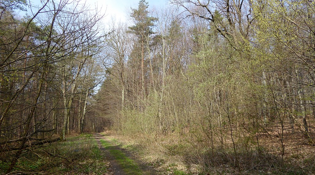 233_TZ60_P1090931_cr.jpg