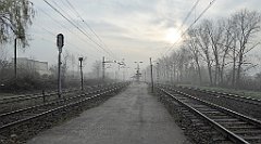 009_TZ60_P1090774_cr