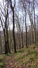 051_TZ60_P1090792_cr