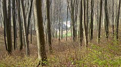 058_TZ60_P1090795_cr