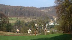 064_TZ60_P1090801_cr