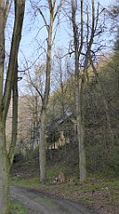 090_TZ60_P1090827_cr