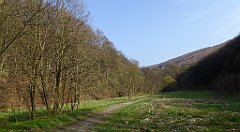 111_TZ60_P1090842_cr