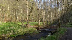 118_TZ60_P1090846_cr