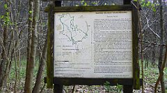 120_TZ60_P1090848_cr