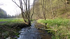 122_TZ60_P1090850_cr