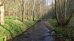 123_TZ60_P1090851_cr