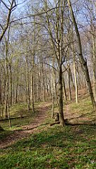 130_TZ60_P1090858_cr