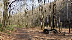 132_TZ60_P1090860_cr