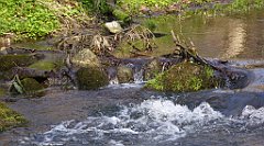 152_TZ60_P1090867_cr