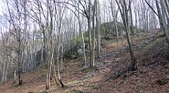 174_TZ60_P1090877_cr