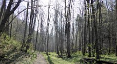 190_TZ60_P1090890_cr