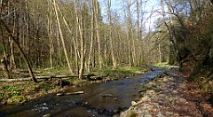 193_TZ60_P1090893_cr