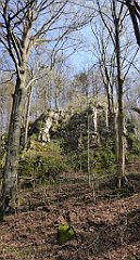 200_TZ60_P1090900_cr