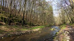 203_TZ60_P1090903_cr