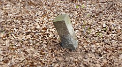 235_TZ60_P1090933_cr