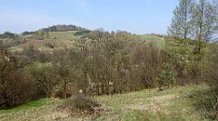 248_TZ60_P1090943_cr