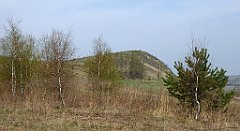 265_TZ60_P1090957_cr