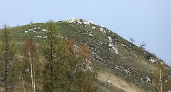 266_TZ60_P1090958_cr