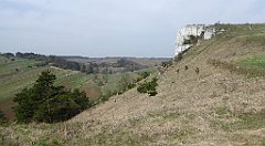 273_TZ60_P1090963_cr