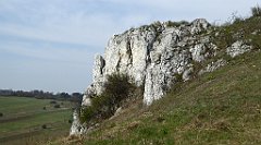 278_TZ60_P1090969_cr