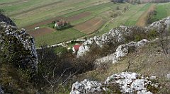 283_TZ60_P1090974_cr