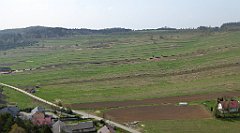 293_TZ60_P1090989_cr