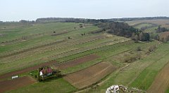 294_TZ60_P1090992_cr