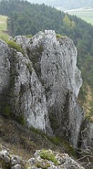 301_TZ60_P1100012_cr