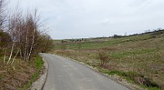 323_TZ60_P1100036_cr