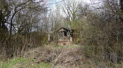 332_TZ60_P1100041_cr