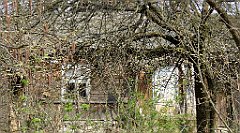 338_TZ60_P1100047_cr