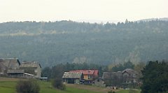 385_TZ60_P1100097_cr