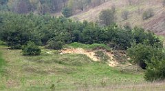 391_TZ60_P1100104_cr