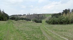 392_TZ60_P1100105_cr