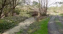 400_TZ60_P1100109_cr