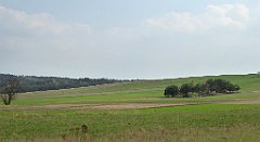 413_TZ60_P1100122_cr