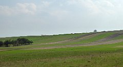 414_TZ60_P1100124_cr