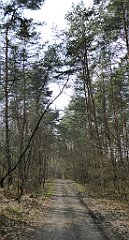 425a_TZ60_P1100132_cr