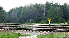 432_TZ60_P1100140_cr