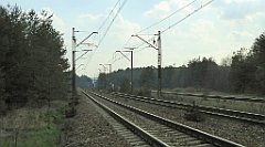 435_TZ60_P1100143_cr