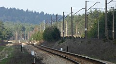 438_TZ60_P1100146_cr