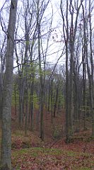 026_TZ60_P1100181_cr