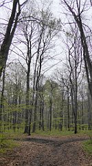 033_TZ60_P1100187_cr