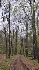 034_TZ60_P1100188_cr