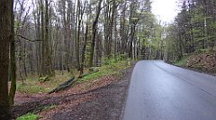 039_TZ60_P1100193_cr