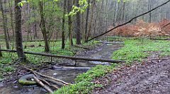 047_TZ60_P1100201_cr