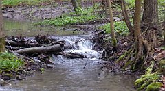 050_TZ60_P1100204_cr